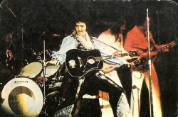 Elvis Presley Kartpostal (Küçük Boy) KRT24246 - Gökçekoleksiyon