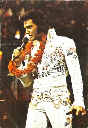 Elvis Presley Kartpostal (Küçük Boy) KRT24247 - Gökçekoleksiyon