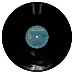 Emel Sayın – Rüzgar | Burç Plakçılık Plak 33'lük LP (Long Play) PLAK (10/7) 