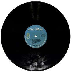 Emel Sayın – Rüzgar | Burç Plakçılık Plak 33'lük LP (Long Play) PLAK (10/7) 