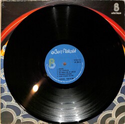 Emel Sayın - Rüzgar LP PLAK (10/7.5) PLK26572 - 3