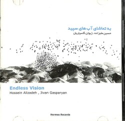 Endless Vision - Hossein Alizadeh, Jivan Gasparyan CD (İkinci El) CD4093 - 1