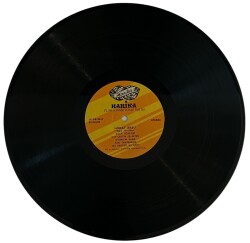 Hüdai Aksu - Ağla Gönlüm LP Plak (10/6.5) PLK25562 - Gökçekoleksiyon