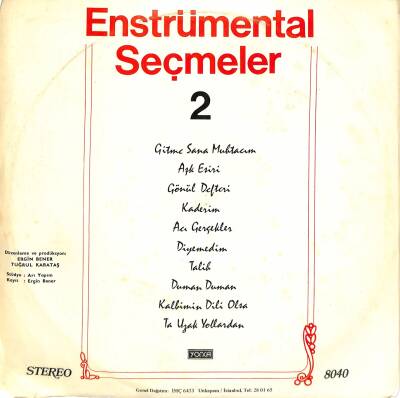 Enstrümental Seçmeler 2 LP (108) PLK20438 - 2