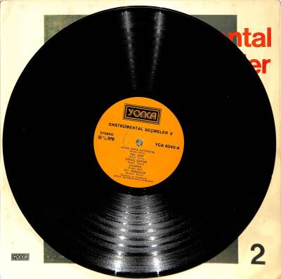 Enstrümental Seçmeler 2 LP (108) PLK20438 - 3