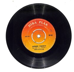 Ercanlar - Ercan Avrad Peşinde / Eminem Yaşarım Plak (10/7) PLK21290 - 2