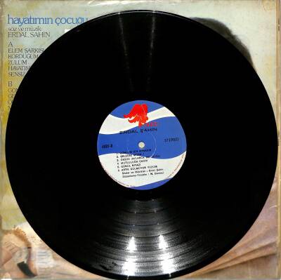 Erdal Şahin (1979) - Hayatımın Çocuğu LP (108) PLK20435 - 3