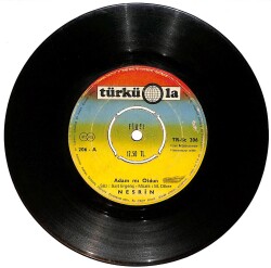 Nesrin ‎- Adam Mı Oldun / Bir Kaşı Kara Plak (10/6.5) PLK25064 - Gökçekoleksiyon