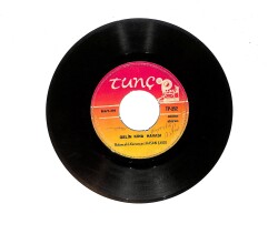 Hasan Çakır - Adaköy Deresi / Gelin Kına Havası PLAK (10/5.5) PLK25633 - Gökçekoleksiyon