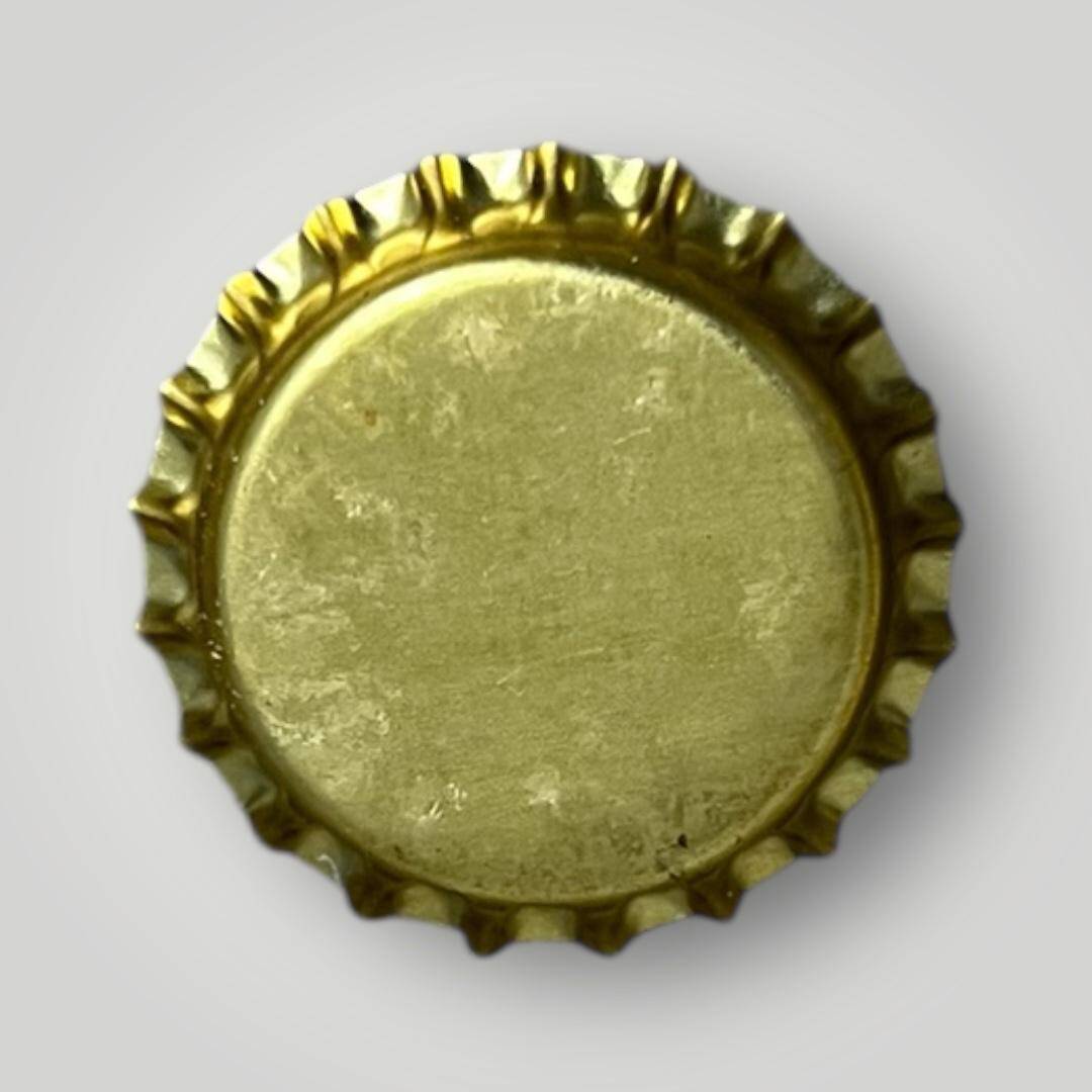 ERZİNCAN Maden Suyu ve Sodası Basılmamış Gazoz Kapağı CMK1-1191 - 2