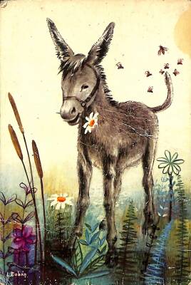 Eşek Temalı Kartpostal KRT19130 - 1