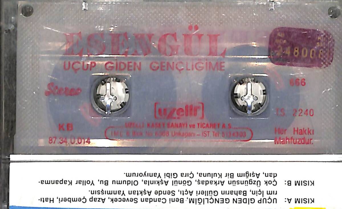 Esen Gül – Uçup Giden Gençliğime No.666 Orijinal Kaset (İkinci El) *Uzelli Baskı - Kırmızı Bandrol - 1983* KST29953 - 2