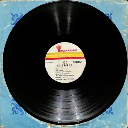 Esengül – Hayat Dolu Gençliğe Veda | Taç Plakçılık 33′lük LP (Long Play) PLAK (10/8) 