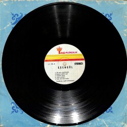 Esengül – Hayat Dolu Gençliğe Veda | Taç Plakçılık 33′lük LP (Long Play) PLAK (10/8) 