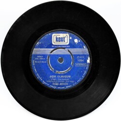 Esin Engin - Aşık Olmuşum (107.5) PLK8219 - 1