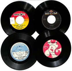 Eski Dönem Plak Lotu, Dekorluk Plak (4 Adet) PLK25169 - Gökçekoleksiyon