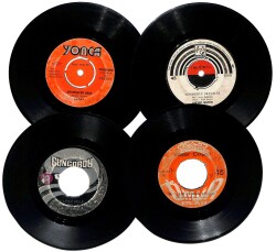 Eski Dönem Plak Lotu, Dekorluk Plak (4 Adet) PLK25175 - Gökçekoleksiyon