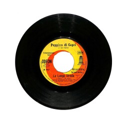 Peppino Di Capri - Non Rimpiangerai - La Lunga Strada PLAK (10/7) PLK25819 - Gökçekoleksiyon