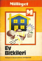 EV BİTKİLERİ MİLLİYET EKİ NDR76230 - Gökçekoleksiyon