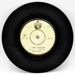 Fahri Kıral - Sulukule Caddesinde (109) (Y)PLK2876 - 1