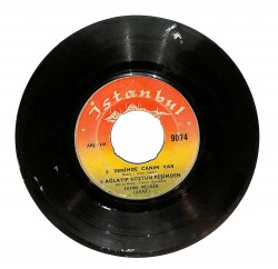 Fatma Müjgan - Agora Meyhanesi / Sevemez Kimse Seni / Benimde Canım Var / Ağlayıp Koştun Peşimden Mini LP PLAK (10/6) PLK22931 - 2