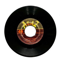 Fatma Müjgan - Haydi Gel Öpde Barışalım Leylaklar Altında (107) PLK15963 - 2