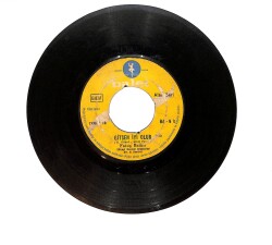 Fatoş Balkır - Sakin Gitme PLAK (10/7.5) PLK26290 - 1