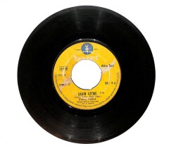 Fatoş Balkır - Sakin Gitme PLAK (10/7.5) PLK26290 - 2