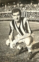 Fenerbahçe Atilla Kartpostal (Küçük Boy) - Gökçekoleksiyon