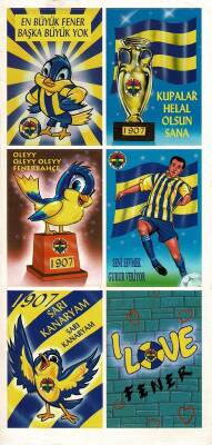 Fenerbahçe Çıkartma Aksesuarları AKS1642 - 1