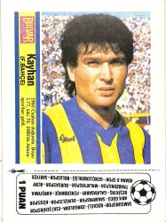Fenerbahçe Kayhan Kartpostal (Küçük Boy) KRT19835 - Gökçekoleksiyon