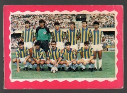 Fenerbahçe Oyuncu Kadrosu Büyük Boy Kartpostal KRT5317 - Gökçekoleksiyon