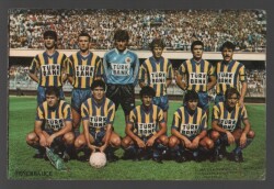 Fenerbahçe Oyuncu Kadrosu KRT5471 - Gökçekoleksiyon