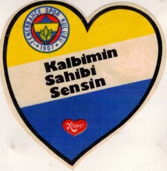 Fenerbahçe Sticker AKS1556 - 2