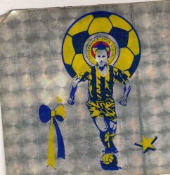 Fenerbahçe Sticker AKS1605 - Gökçekoleksiyon