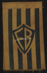 Fenerbahçe Taraftar Aksesuarı AKS239 - Gökçekoleksiyon