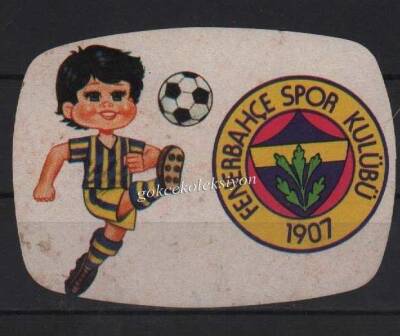 Fenerbahçe Taraftar Aksesuarı AKS260 - 1