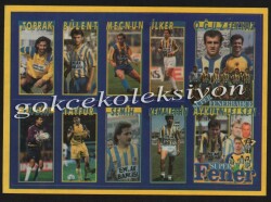 Fenerbahçe Taraftar Çıkartma Aksesuarı AKS230 - Gökçekoleksiyon