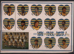 Fenerbahçe Taraftar Oyuncuları Çıkartma Aksesuarı AKS244 - Gökçekoleksiyon