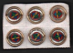 Fenerbahçe Taraftar Rozet Aksesuarı AKS256 - Gökçekoleksiyon