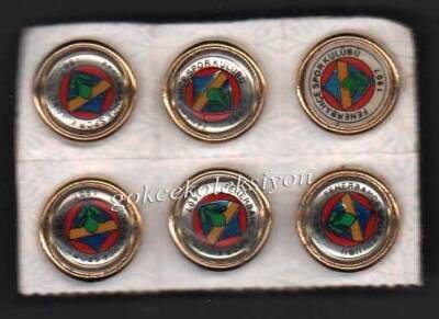 Fenerbahçe Taraftar Rozet Aksesuarı AKS256 - 1