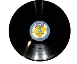 Ferdi Özbeğen – Bir Sır Gibi LP PLAK (10/8.5) (VG+) PLK26464 - 4