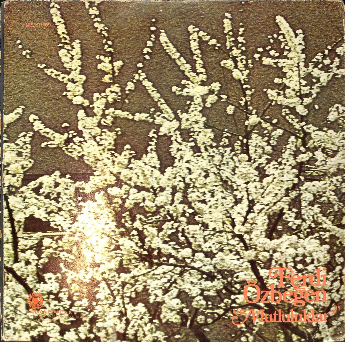 Ferdi Özbeğen - Mutluluklar LP PLAK (10/6.5) PLK26580 - 2