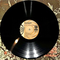 Ferdi Özbeğen - Mutluluklar LP PLAK (10/6.5) PLK26580 - 3