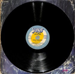 Ferdi Özbeğen – Nice Yıllara | Yaşar Plakçılık 33′lük LP (Long Play) PLAK (10/8.5) 