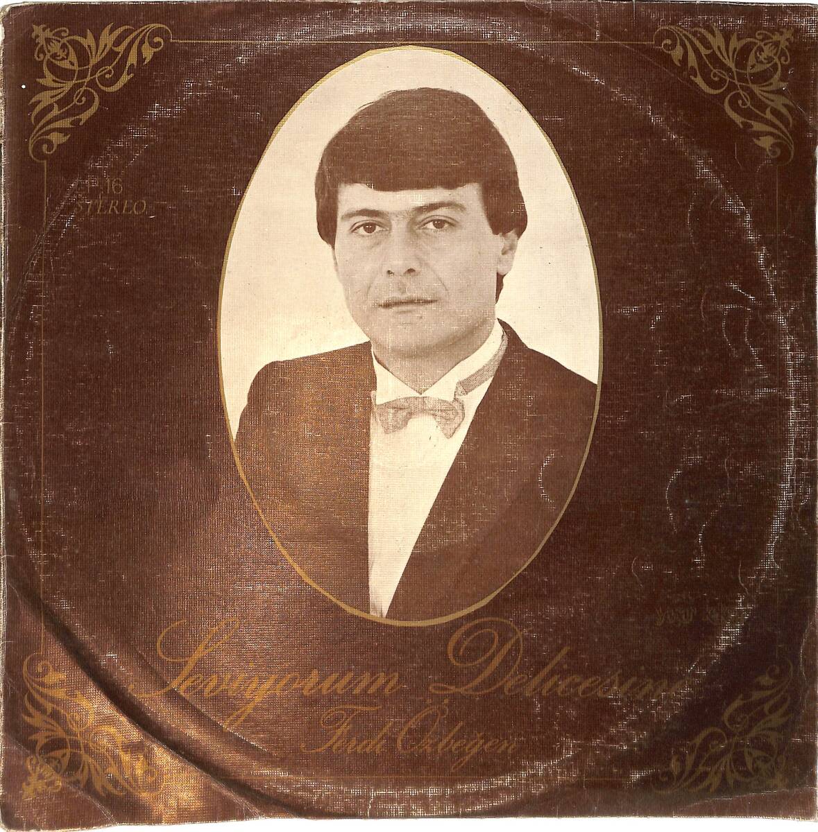 Ferdi Özbeğen - Seviyorum Delicesine LP PLAK (10/7.5) PLK26522 - 1