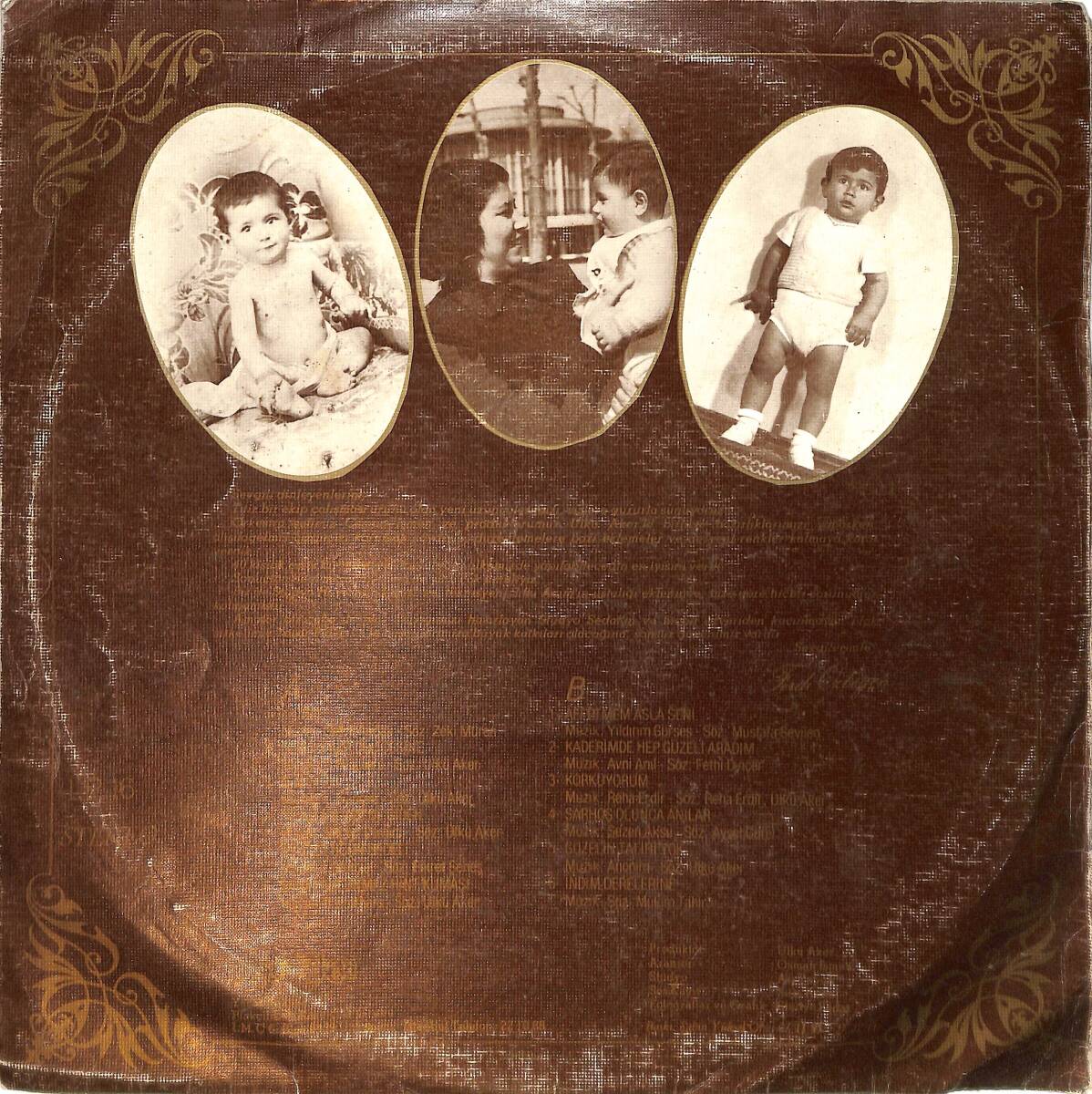 Ferdi Özbeğen - Seviyorum Delicesine LP PLAK (10/7.5) PLK26522 - 2