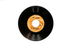 Ferdi Tayfur – Kır Çiçekleri / Dur Dinle Sevgilim 45’lik Plak (10/7) PLK26999 - 2