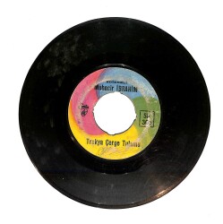 Edirneli Muhacır İbrahim -Trakya Çerge Tulumu / Edirne Çeltikçi Romanı PLAK (10/6.5) PLK23952 - Gökçekoleksiyon