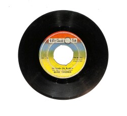 Sevim Tanürek - Ne Sevdin Ne Bıraktın / Düğümlendi Hasretin PLAK (10/7) PLK23554 - Gökçekoleksiyon